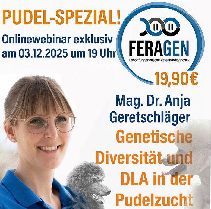 1c905b6a-27ec-46cc-9e5d-26a5b97df1d4-1