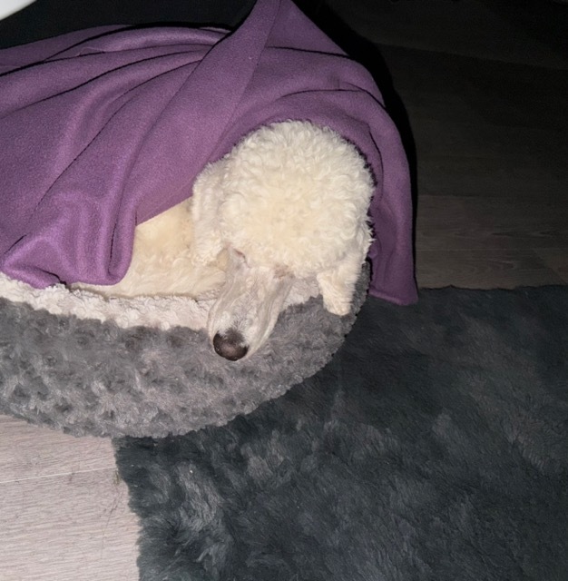 Liebevoll zugedeckt, ist klar