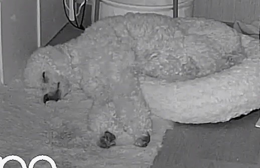 Bisschen klein war es auf Dauer eben doch. Ich baue natürlich um